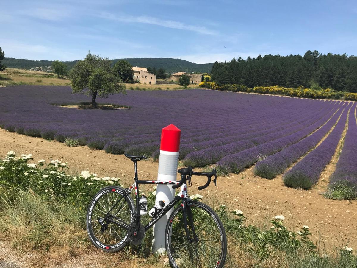 Vie Ventoux - Apartamento Malaucène